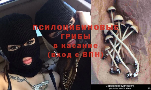 кокаин Зеленодольск