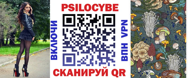 Псилоцибиновые грибы Psilocybe  Купить закладки  Болотное 